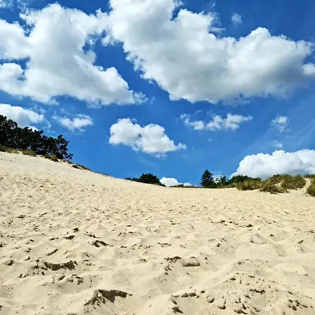 4 Person In Borkop-by Traum