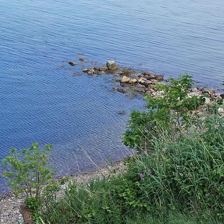 4 Person In Borkop-by Traum *