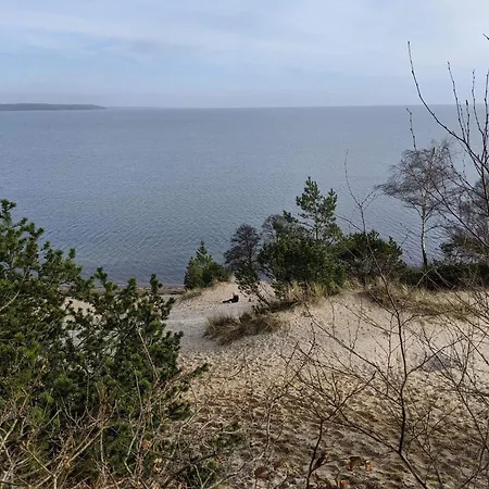 4 Person In Borkop-by Traum